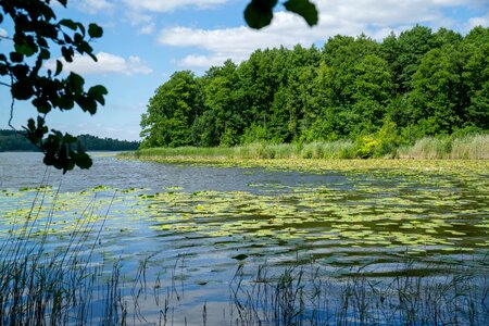 Landscape waters sky