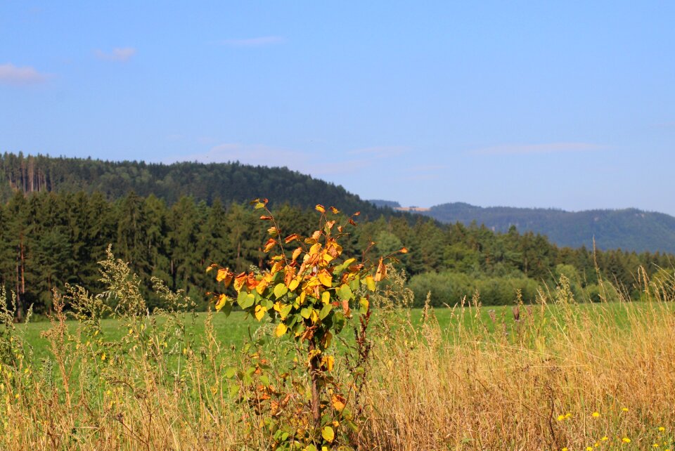 Panorama nature hill