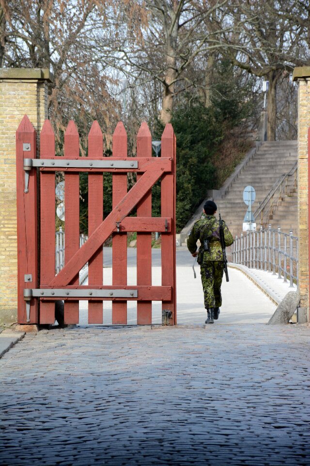 Danish security monarchy