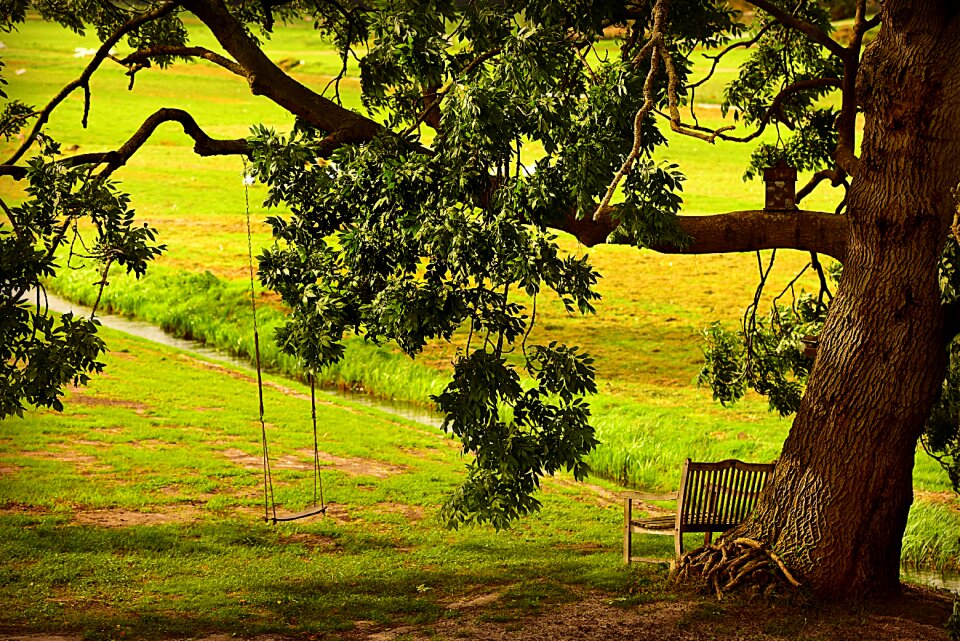 Resting place quiet tranquil