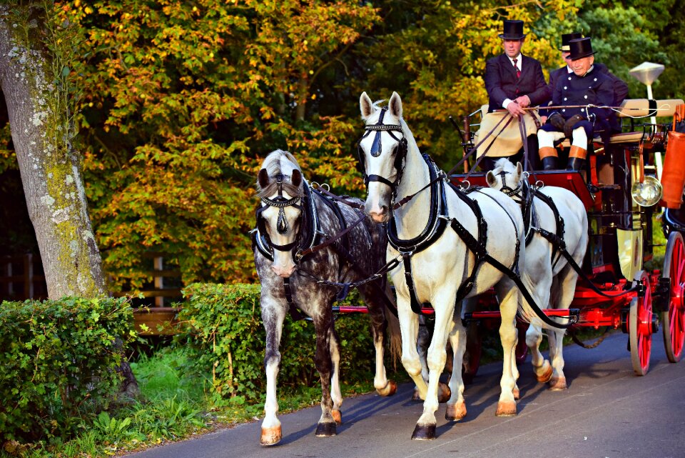 Vehicle nostalgia coachman