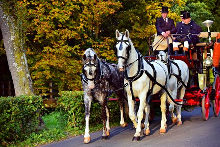 Vehicle nostalgia coachman