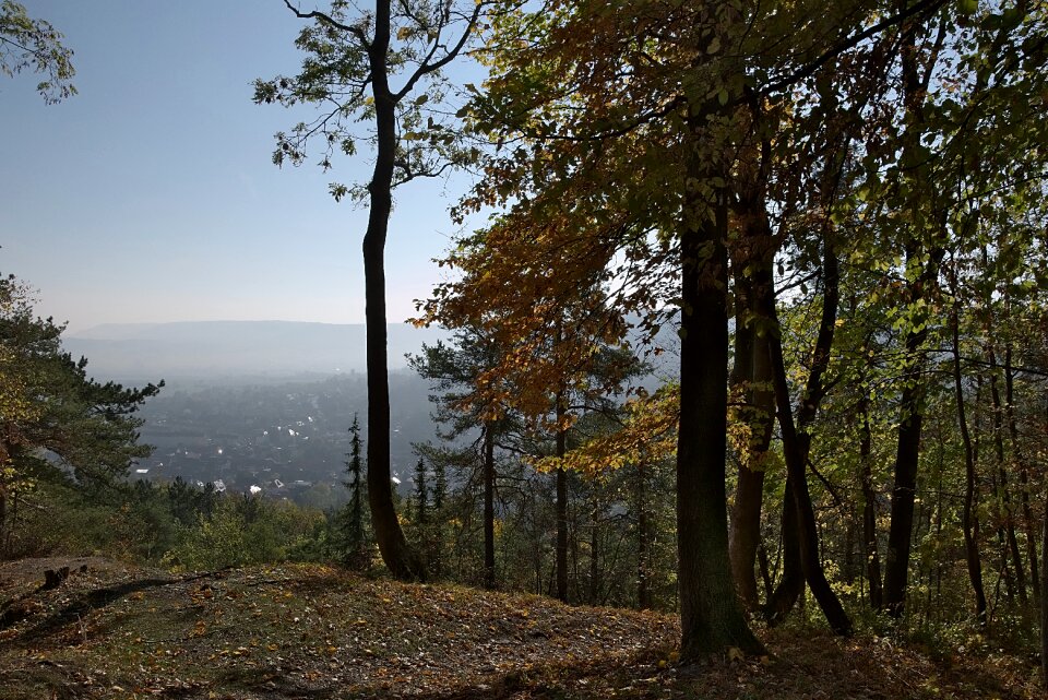 View autumn morgenstimmung