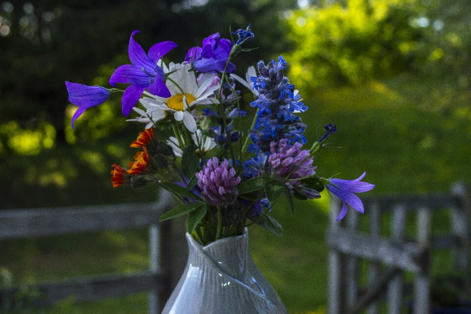Rural spring love