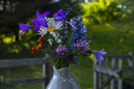 Rural spring love