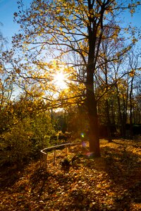 Mood sunbeam shadow photo