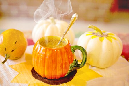 Pumpkin orange sweet