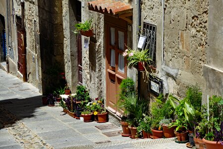 Italy facade plant