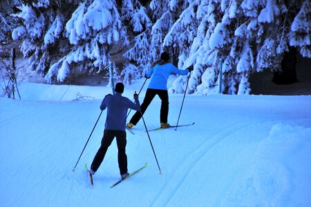 Winter snowy relaxation photo