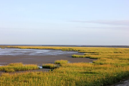 Wadden sea beach north sea coast