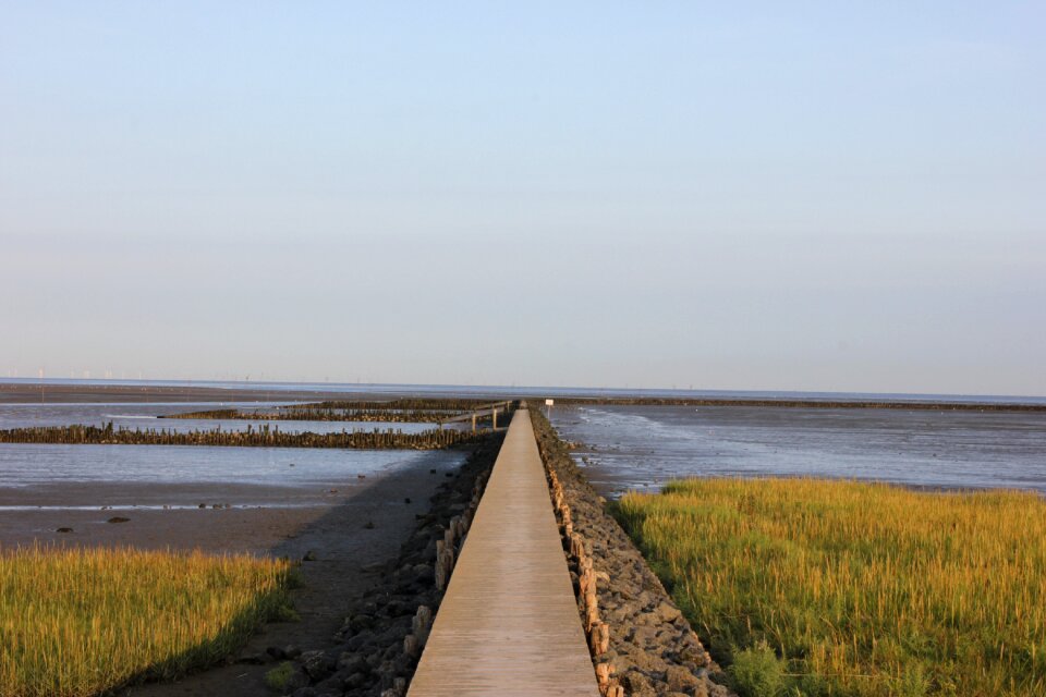 Boardwalk nature landscape