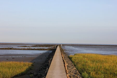 Boardwalk nature landscape