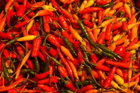 Chili spicy ingredient