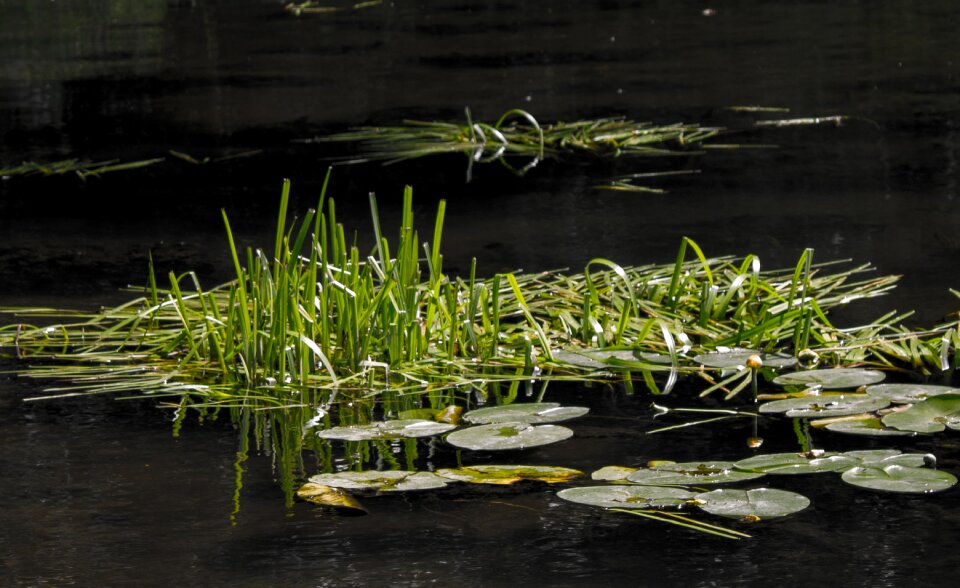 Lake landscape waters