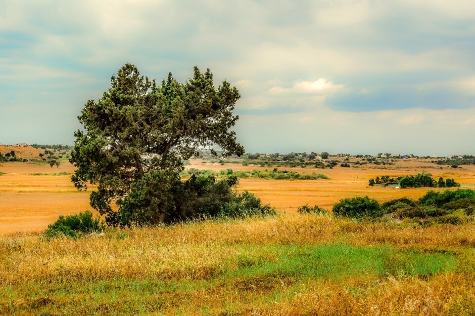 Field sky rural