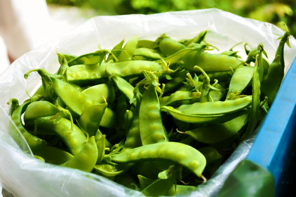 Vegetable healthy vegetarian