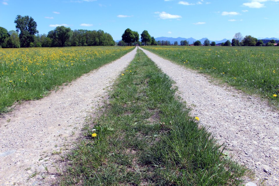 Grass road field