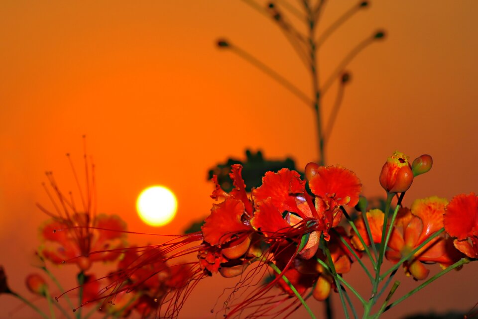 Sunset jeddah saudi arabia