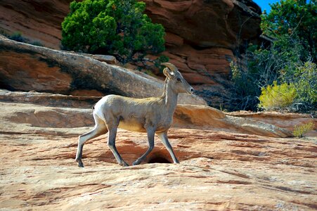 Colorado national monument