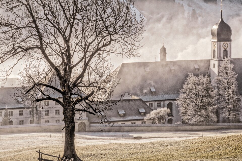 Winter mood idyllic fog