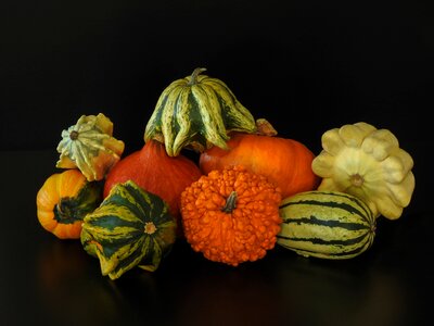 Hokkaido autumn colorful