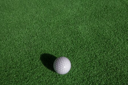Green golfers field