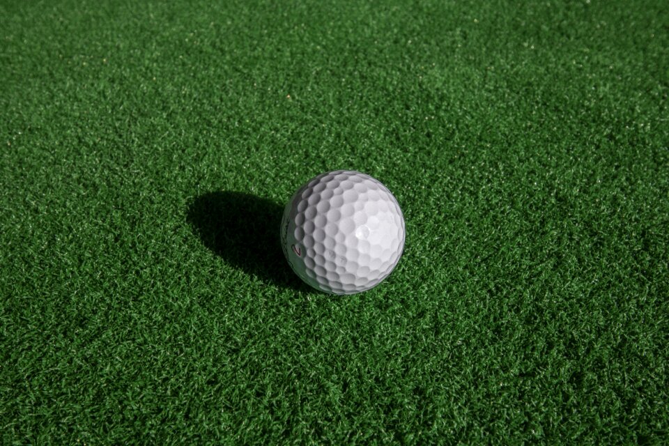 Green golfers field