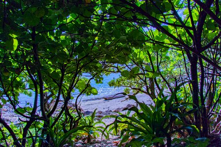 Water reflection island