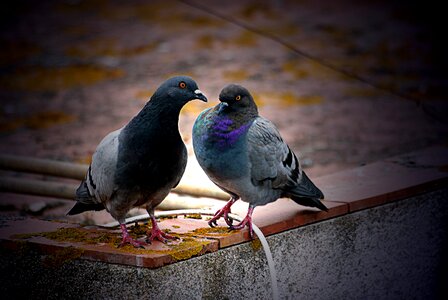 Cable cantilever couple