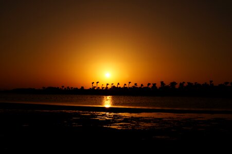 Light vacations palm trees