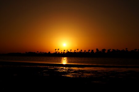 Light vacations palm trees photo