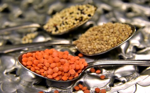 Food seeds sesame