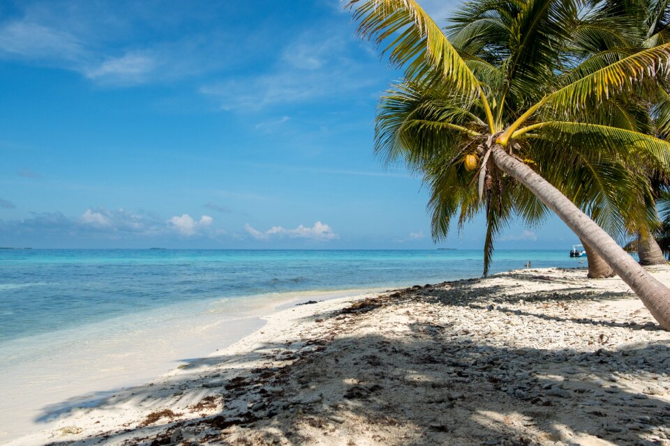 Beach destination belize