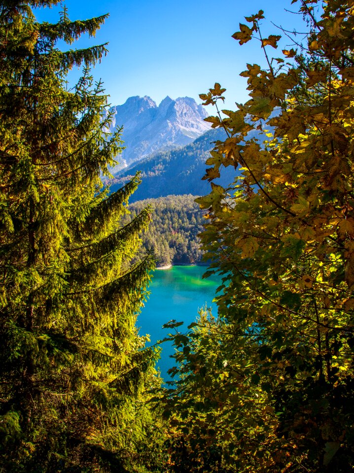 Landscape forest nature