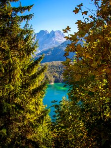 Landscape forest nature