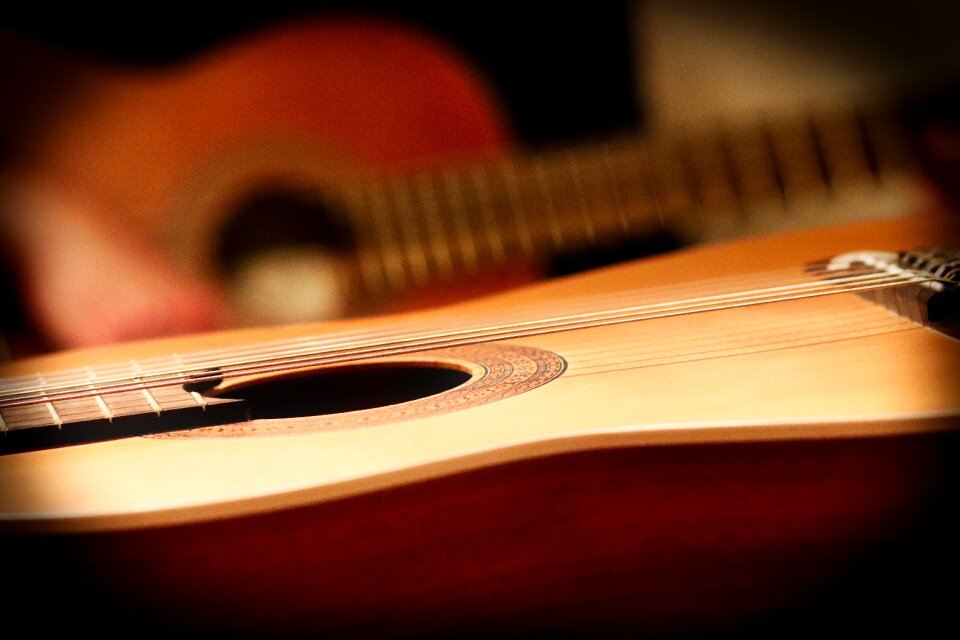 Instrument music guitarist
