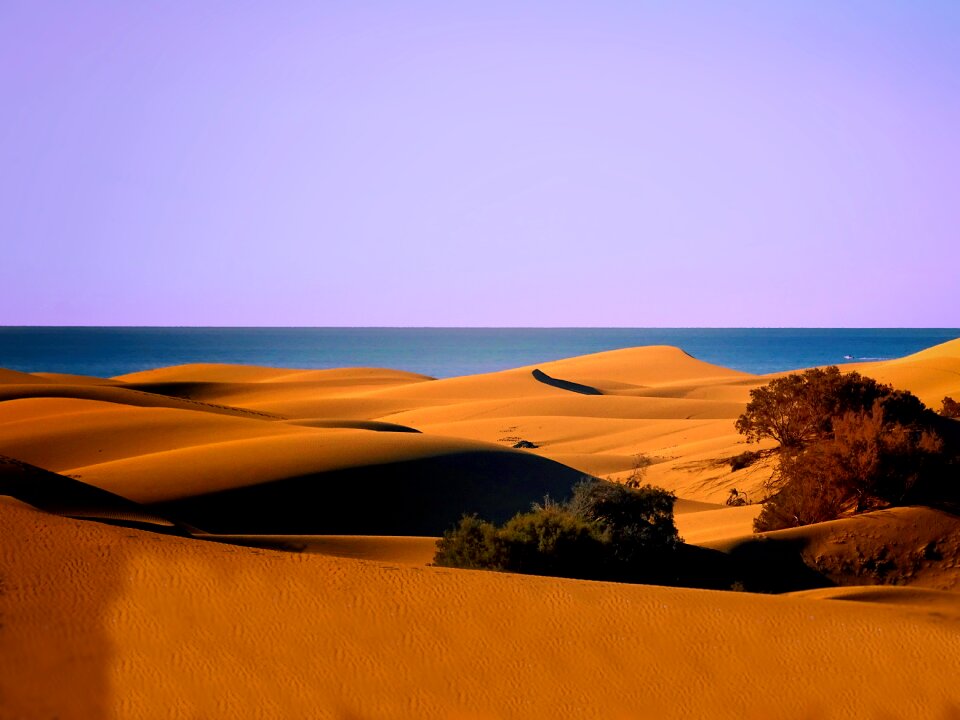 Sand landscape dry