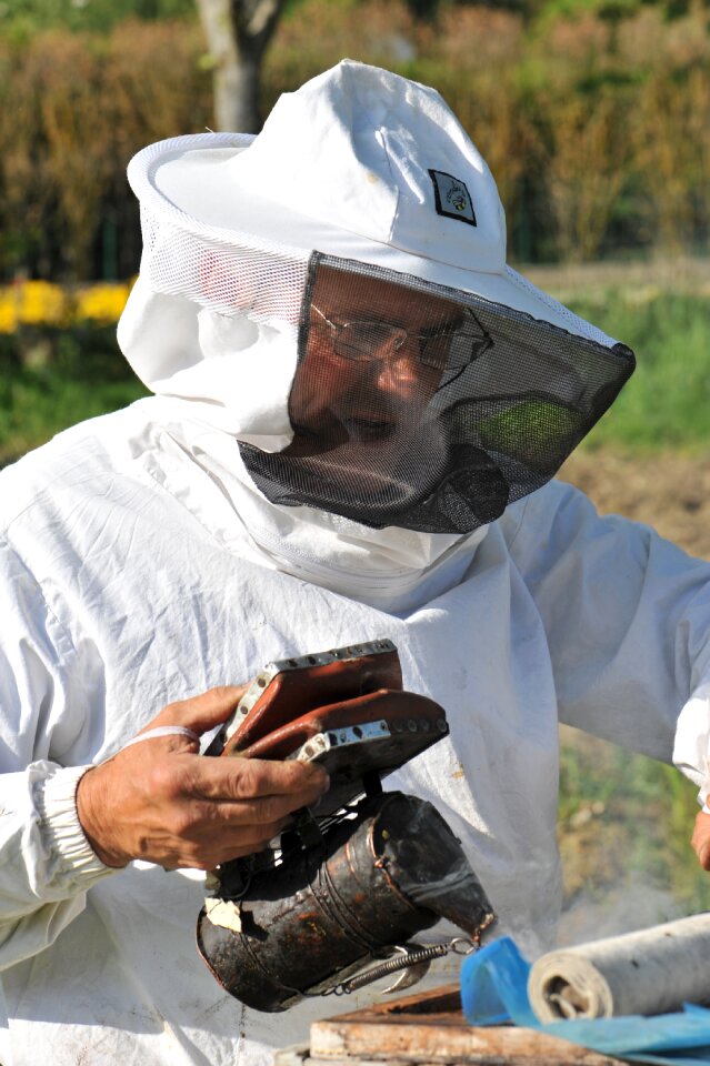 Beekeeper honey flower