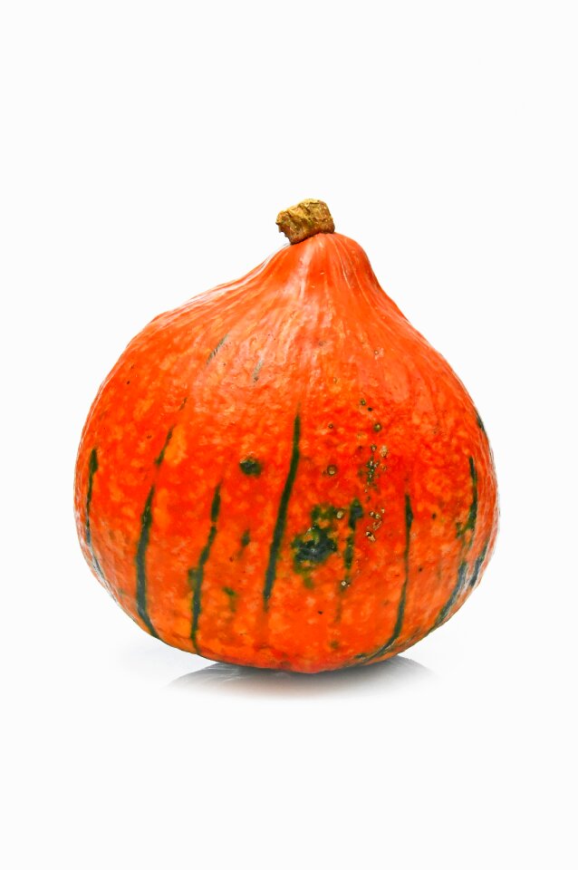 Autumn mood still life halloween