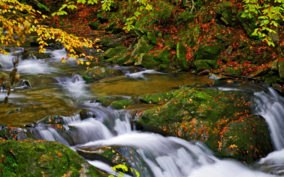 Tourism nature torrent mountain