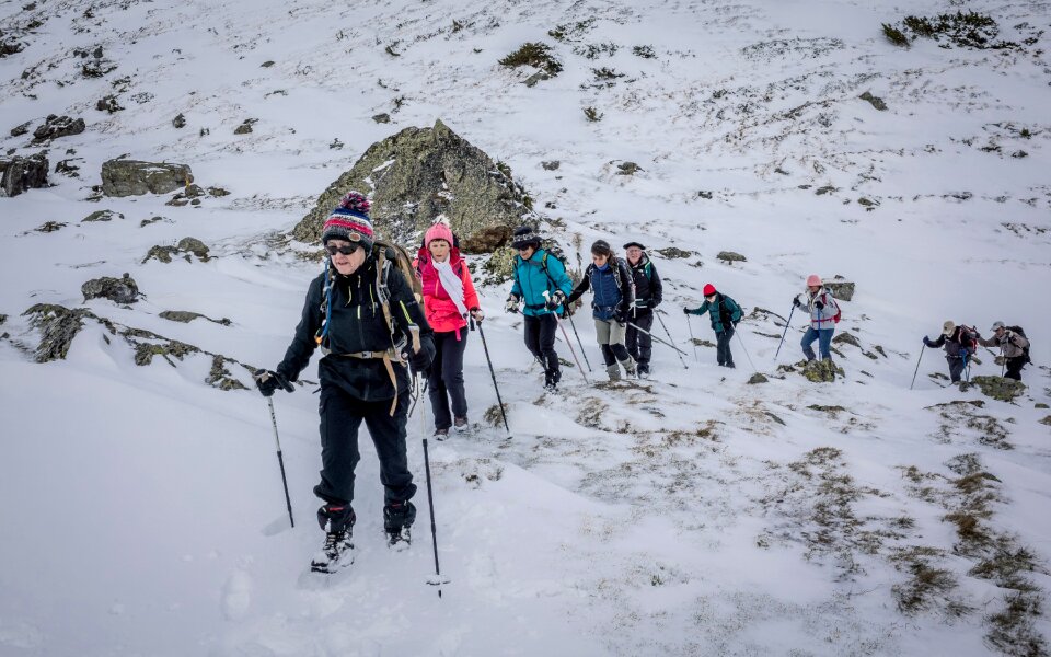 Snow group hiking