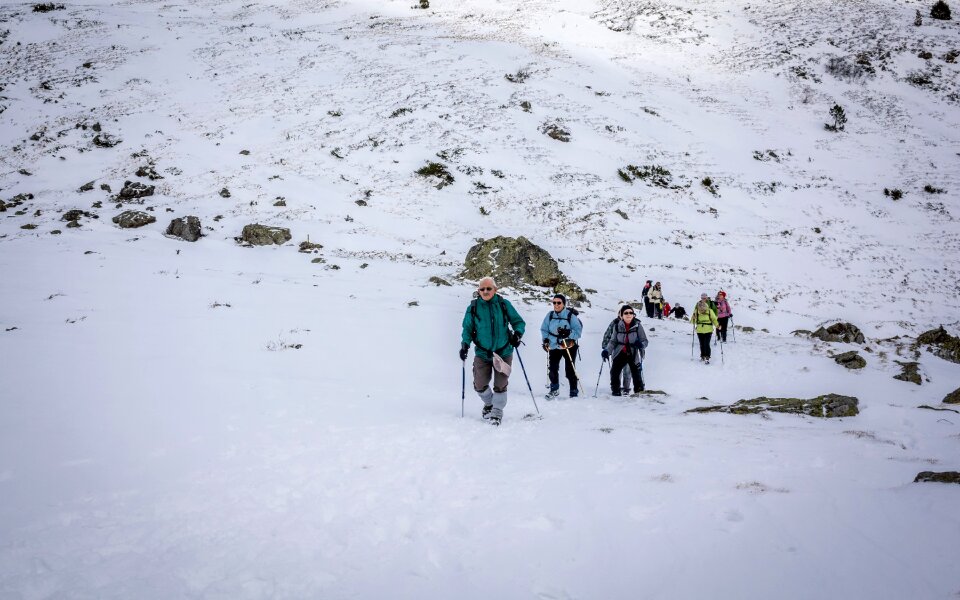 Snow group hiking