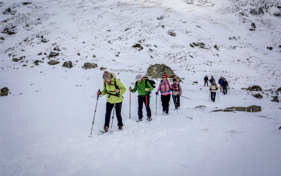 Snow group hiking