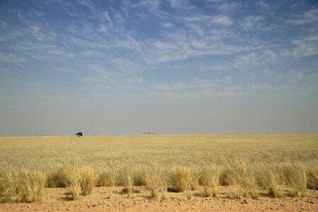 Desert africa namibia photo