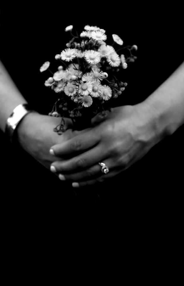Flowers hands royalty-free