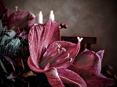 Petals living room table