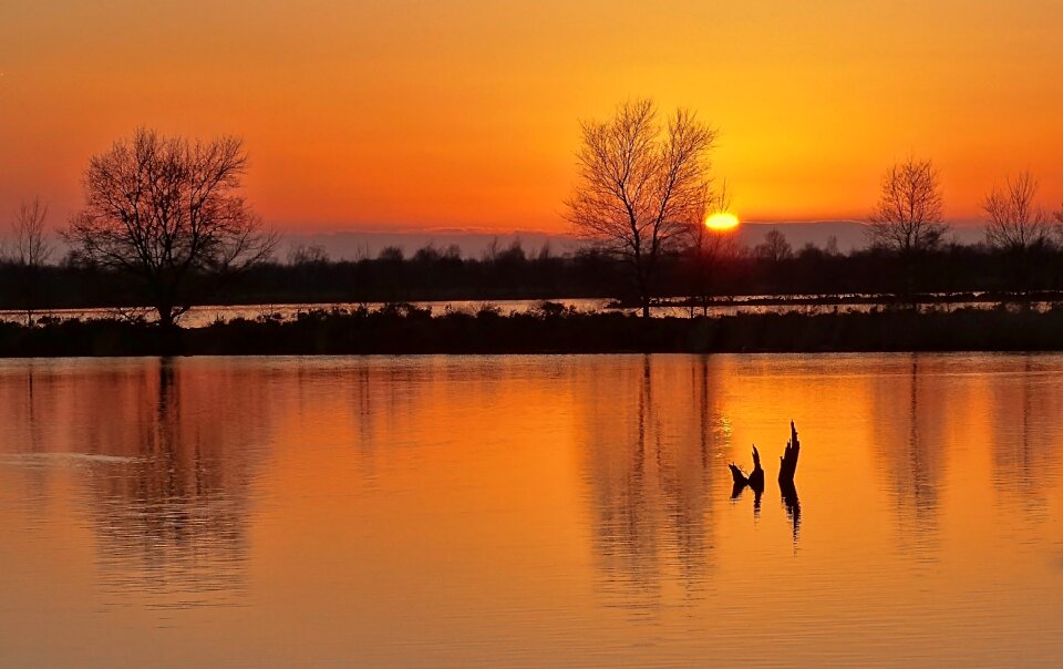 Silhouettes reflection nature