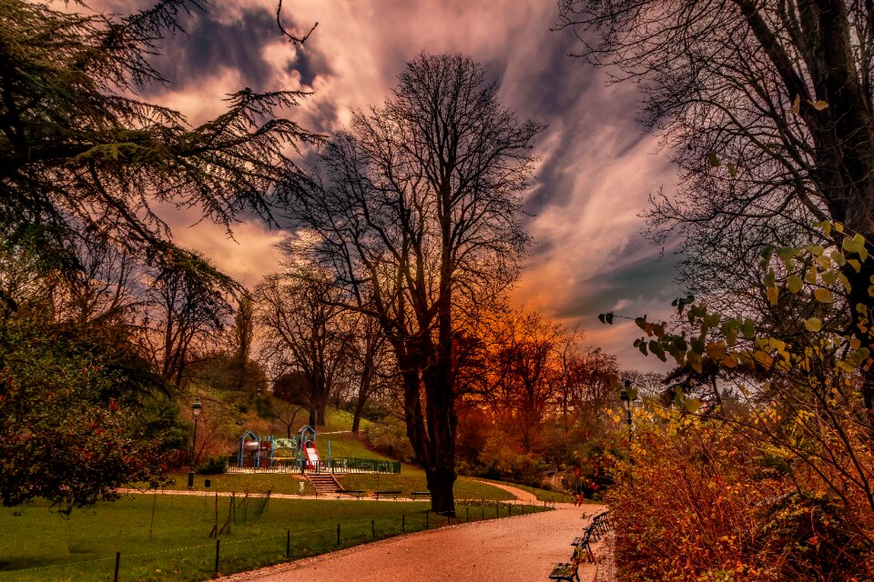 Evening twilight park