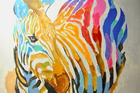 Multicolored horse animal photo