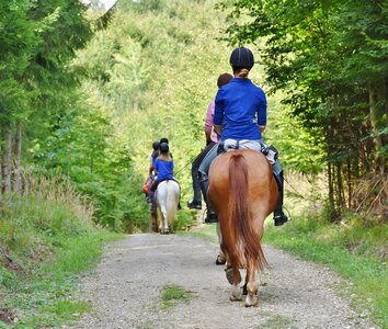 Group equestrian rural photo